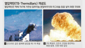 [北, 연평도 포격 도발]軍 관계자 주장