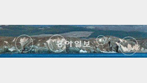 [北, 연평도 포격 도발]나라 안팎 “北 규탄” 들끓는데 정치권은 내전