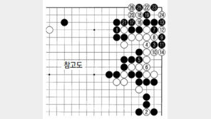 [바둑]제54회 국수전…의아한 팻감
