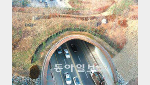 [수도권]30년 양분 양천계남공원 생태통로로 연결