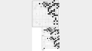 [바둑]제54회 국수전…서로 착각