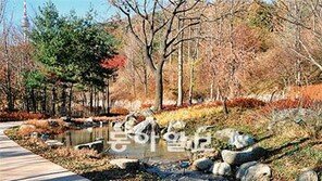 [수도권]서울山 녹색쉼터 늘어난다