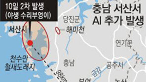 익산 이어 서산 야생조류서 AI 검출