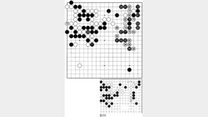 [바둑]제54회 국수전… 화약고에 불이 붙다