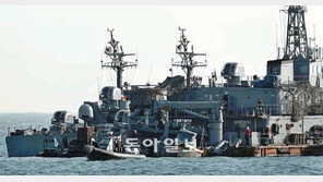 [연평도 다시 긴장 고조]靑-軍 “날씨 안좋으면 미루겠지만…”