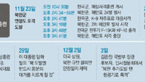 [연평도 사격훈련 단행]정부 긴박했던 하루