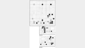 [바둑]제54회 국수전…괴동(怪童) 장가 간다