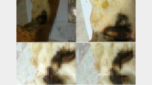 ‘쥐식빵’ 공개男, 파리바게뜨와 접촉 시도