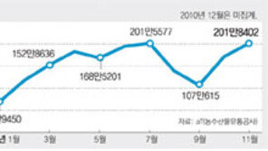 [막걸리, 세계인의 술로]<시리즈 끝> 현장 목소리로 돌아본 1년