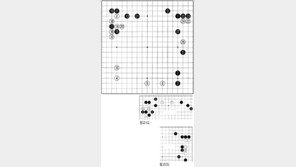 [바둑]제54회 국수전…토끼해 기사들