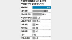 [2011 신년 여론조사]새해 국정 1순위 남북관계 꼽아