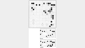 [바둑]제54회 국수전… 보폭을 좁게