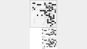 [바둑]제54회 국수전…불각의 패착