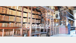 [인문사회]‘책의 바다’ 도서관의 속살을 만지다