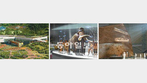 [수도권]色다른 박물관들이 온다