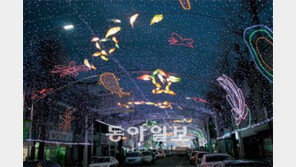 [강원]화천 ‘산천어축제’ 취소 후유증 심각