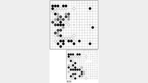 [바둑]제54회 국수전…잘못 끼운 단추