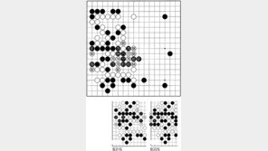 [바둑]제54회 국수전… 단명국?