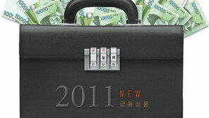 [Money&Life]금융 4强시대… 2011 新상품 전쟁 