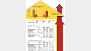 [Money&Life]2010년은 대형주… 2011년 토끼해엔 중소형주도 뛴다