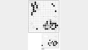 [바둑]제54회 국수전… 모험심으로 찾아간 길