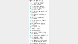 해적모선, 25일간 삼호주얼리호 추적했다