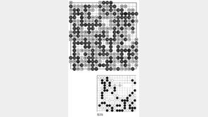 [바둑]제54회 국수전… 사소한 패착