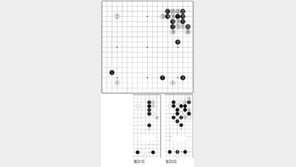 [바둑]제54회 국수전…초반 급전 양상