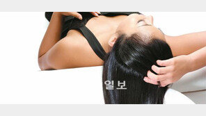 [헬스&뷰티]상쾌한 두피, 매혹의 머릿결