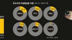 [아하! 경제뉴스]수쿠크 채권 왜 논란인가