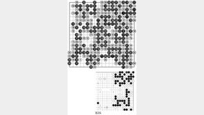 [바둑]제54회 국수전… 냉정한 형세판단의 승리