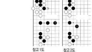[바둑]제54회 국수전…똑같은 수순