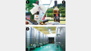 [수도권]입으로… 눈으로… 경기는 지금 ‘와인 전쟁’