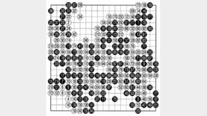[바둑]제54회 국수전… 아쉬운 한판