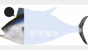 [헬스&뷰티]참치! 나른한 봄, 몸을 깨운다