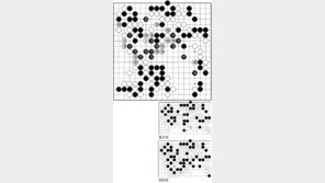 [바둑]제54회 국수전…빈삼각의 아픔