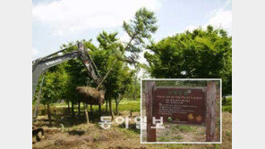 [수도권]버려진 나무들이 복지시설 녹색 쉼터로