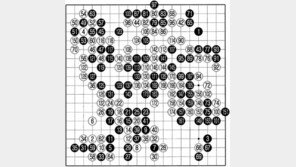 [바둑]제54회 국수전…바둑판에 드러난 마음