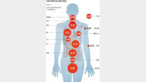 [東日本 대지진]1년간 피폭 허용치는 1mSv