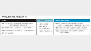 [다국적군 리비아 공습]‘카다피 축출’ 美-英佛이견… 지상전 개시못해 장기전 가나
