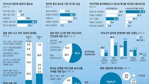 [原電 강국 안전나사 조이자]<1> 일반인-전문가 안전 시각차