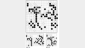 [바둑]제54회 국수전… 양 패…돌 거둬