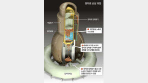 [東日本 대지진]원전 부지 5곳서 플루토늄 검출… 핵연료 녹아 방출된 듯
