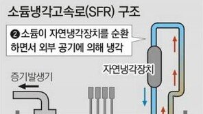 [原電 강국 안전나사 조이자]<3·끝> 안전한 4세대 원전을 향해