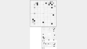 [바둑]제54회 국수전… 손빼기와 중국식 포석