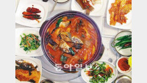 [김화성 전문기자의 &joy]축제 없어도 조용한 발길 끊이지 않는 샛노란 봄마을