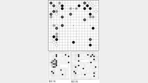 [바둑]제54회 국수전…특공대 투입하다