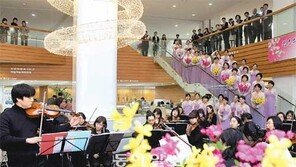 [수도권]송파구청 로비에 가득한 클래식 선율