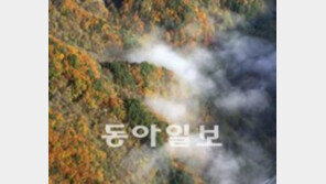 “태백산맥서 인공강우 추진” 누리꾼 폭발