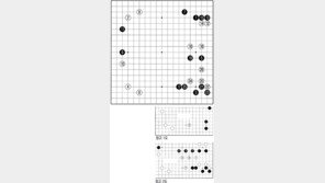 [바둑]제54회 국수전… 마이 웨이